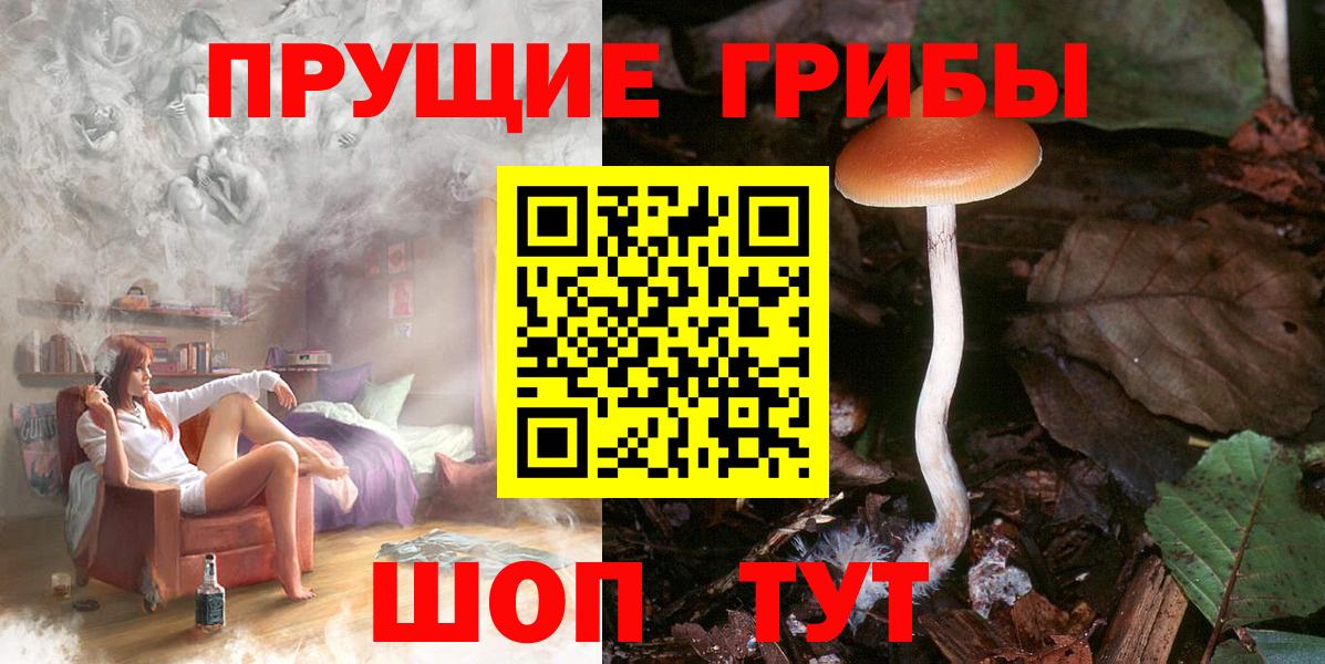 Псилоцибиновые грибы GOLDEN TEACHER Лесной