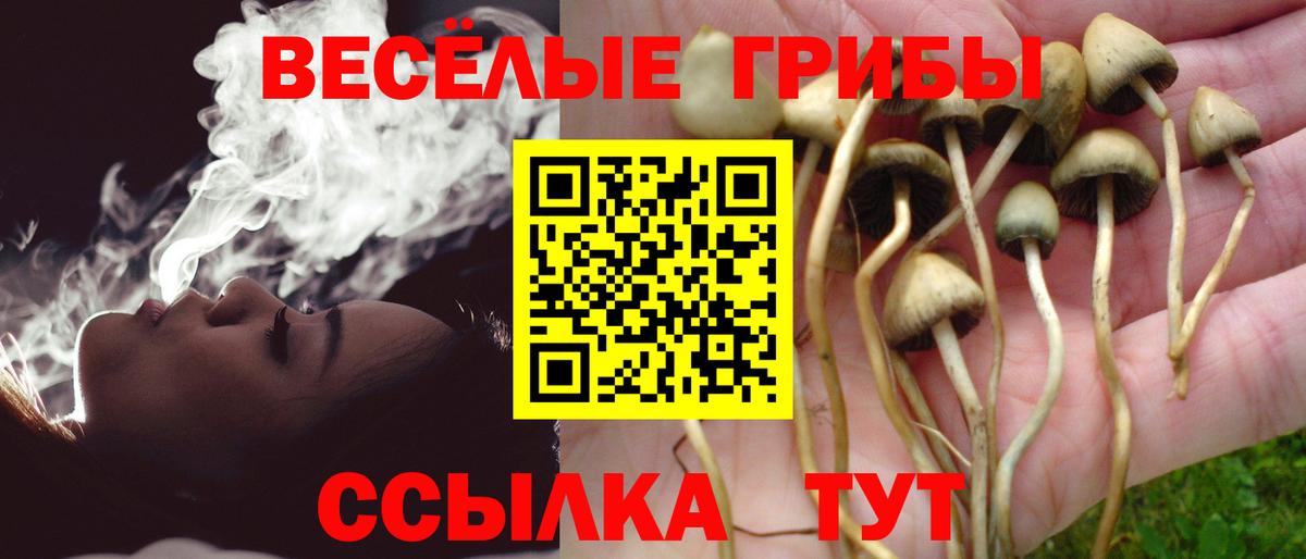 купить закладку  Вход с VPN  Галлюциногенные грибы мицелий  Лесной  Галлюциногенные грибы Psilocybine cubensis 